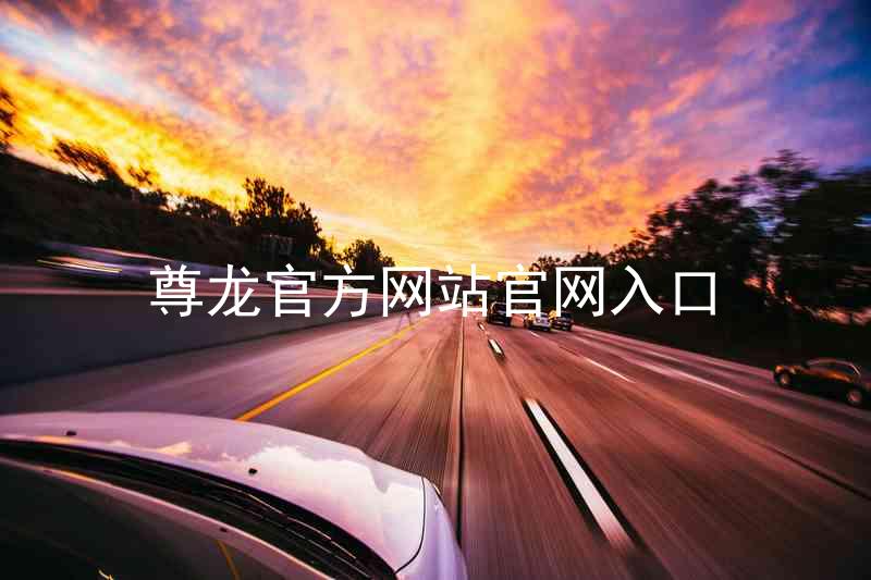 尊龙官方网站官网入口