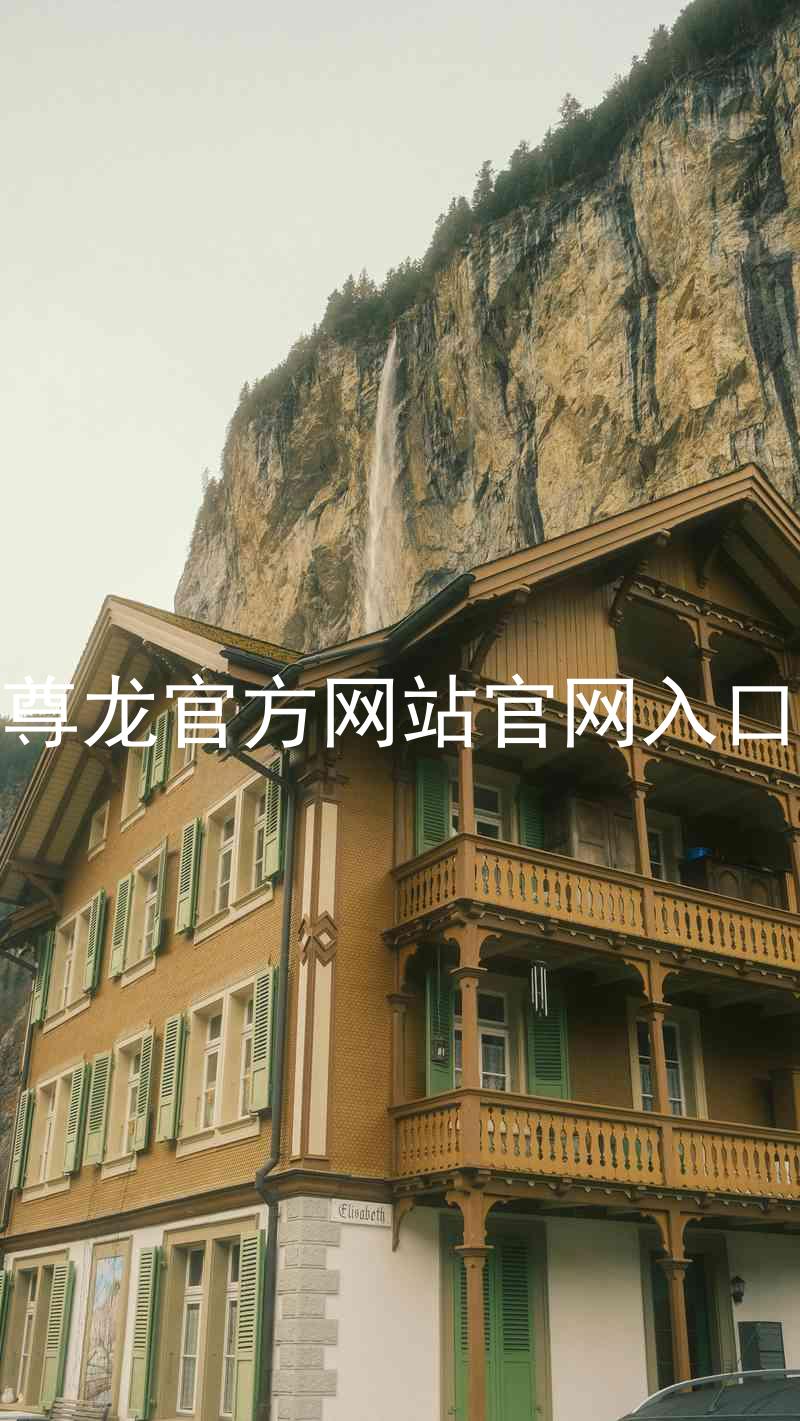 尊龙官方网站官网入口