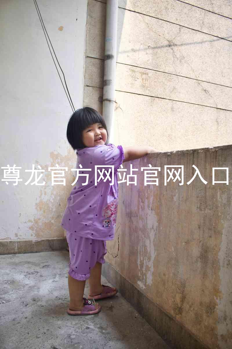 尊龙官方网站官网入口