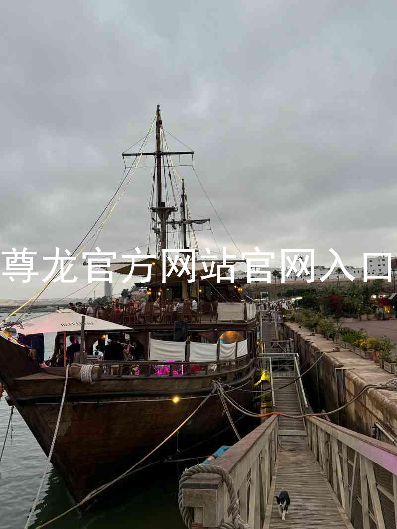 尊龙官方网站官网入口