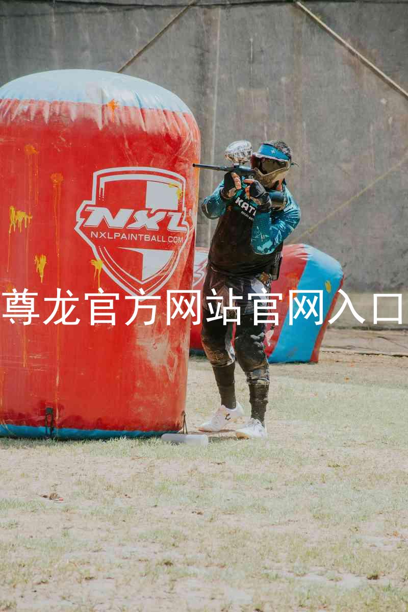 尊龙官方网站官网入口